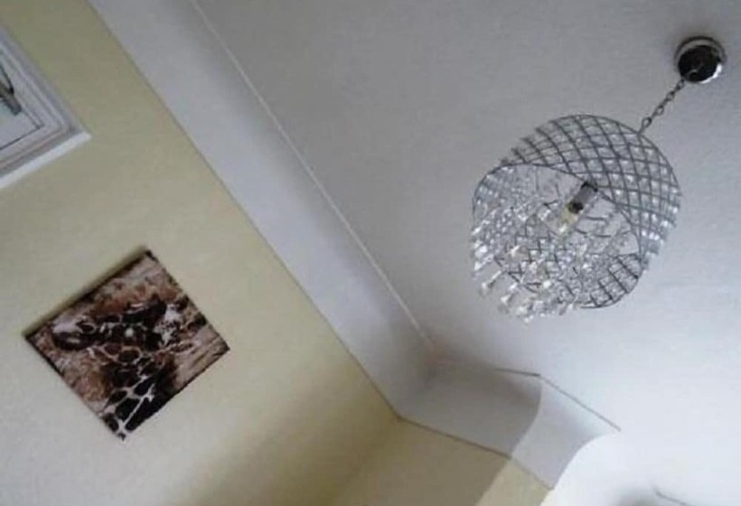 فندق The Heidi Bed & Breakfast