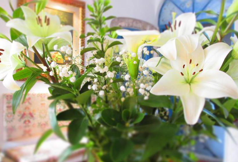 בית מלון כפרי Villa Clodia