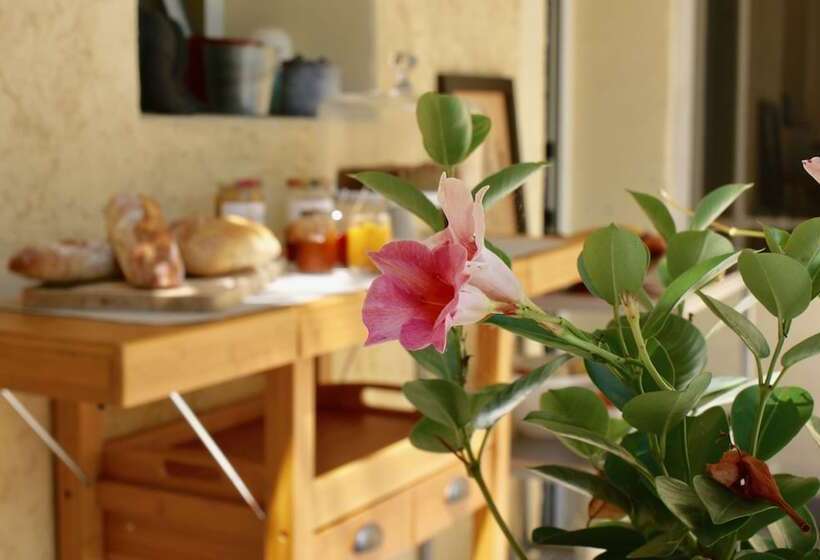 צימר Couette Et Café