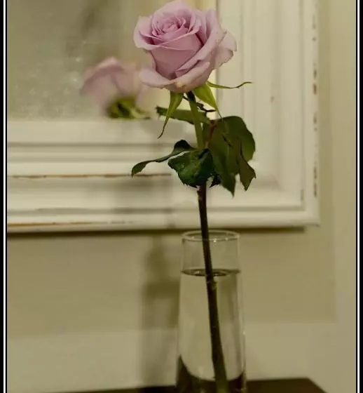 Aamiaismajoitus (B&B) Paarl Mountain Lodge