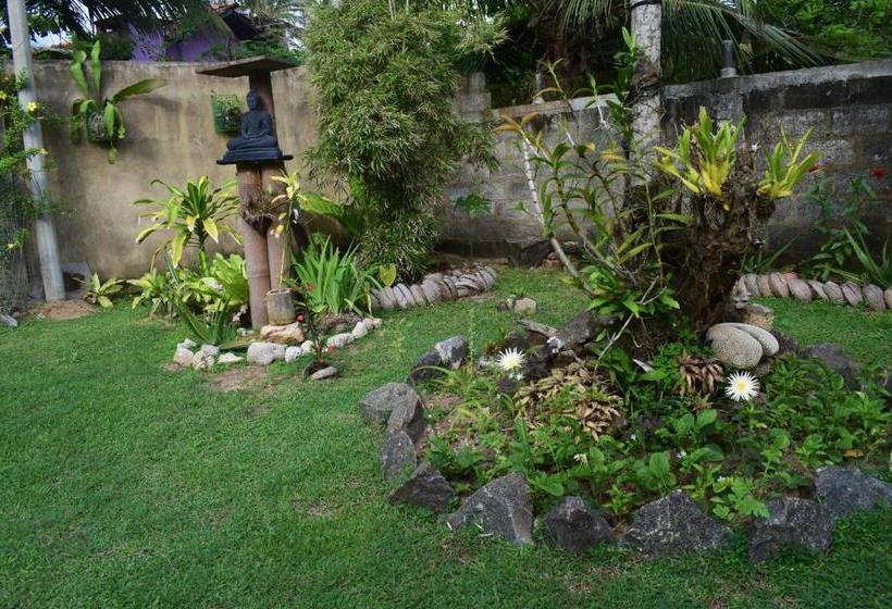 Bed & Breakfast The Breeze Mirissa