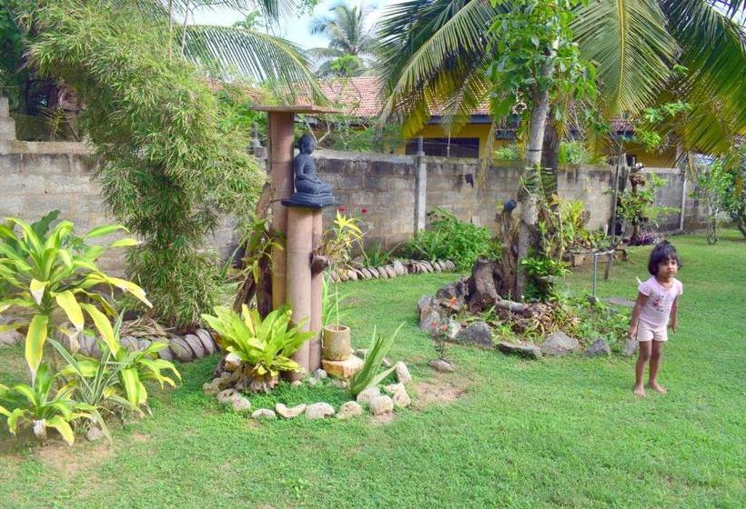 Bed & Breakfast The Breeze Mirissa