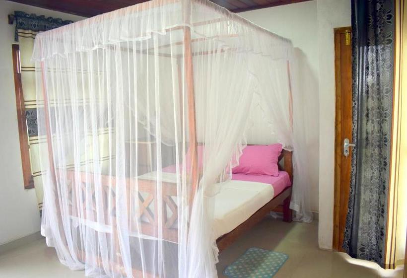 Bed & Breakfast The Breeze Mirissa