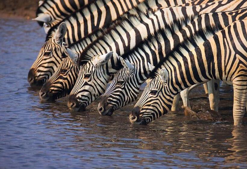 Cybele Lodge Boutique Bed And Breakfast