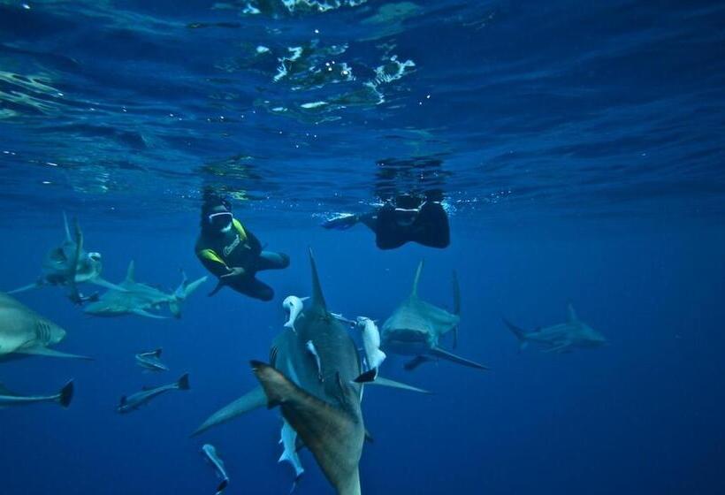 Cybele Lodge Boutique Bed And Breakfast