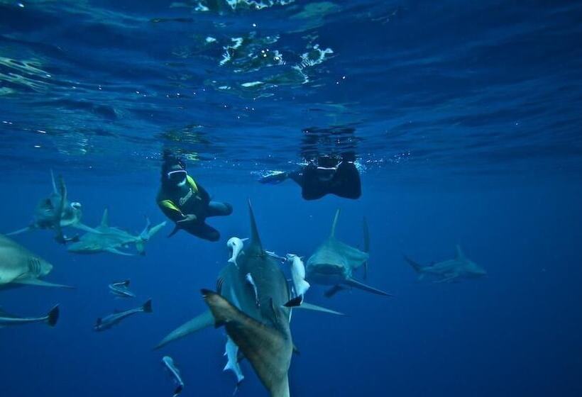 Cybele Lodge Boutique Bed And Breakfast