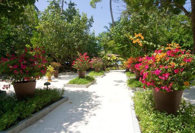 Embudu Village Resort