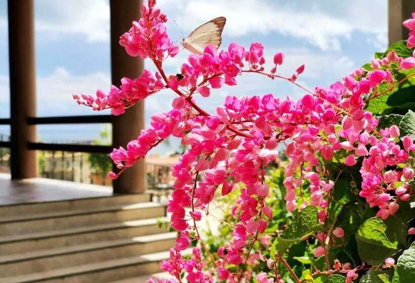 هتل Santuario Das Aguias