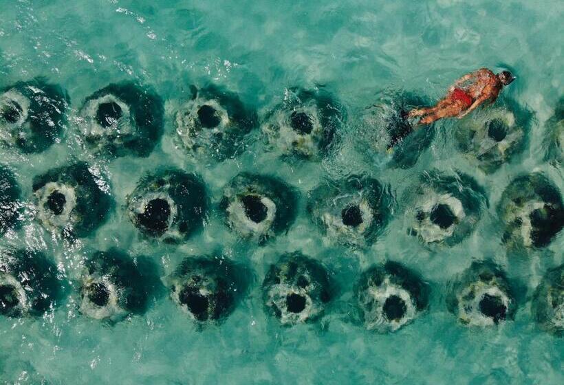 استراحتگاه The Meridian Club, Turks And Caicos