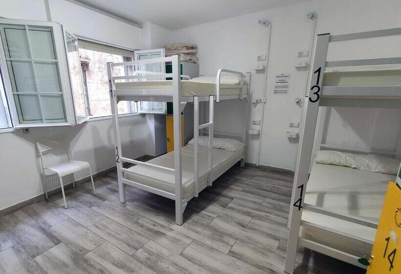 Albergue A Barca De Pedra