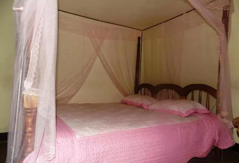 مُتل Vine Inn