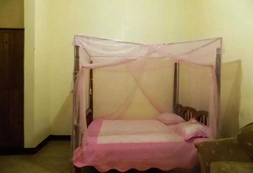مُتل Vine Inn