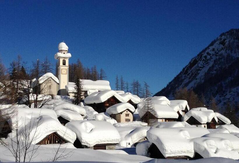 ユースホステル Casa Di Vacanza Giovanibosco