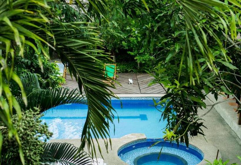 فندق صغير Montañita Cabañas