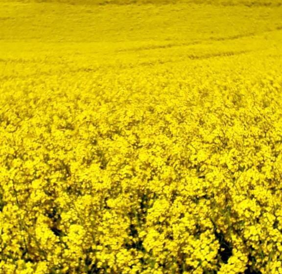 Ferienhotel Alter Bahnhof Garni