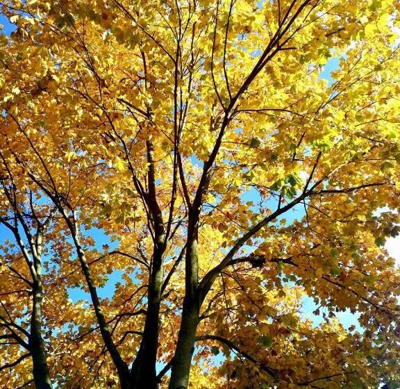 Ferienhotel Alter Bahnhof Garni