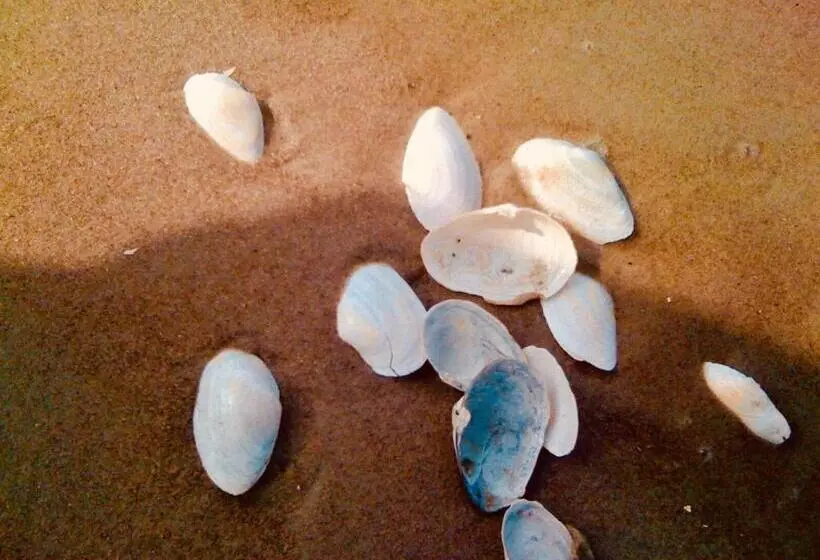 Ferienhotel Alter Bahnhof Garni