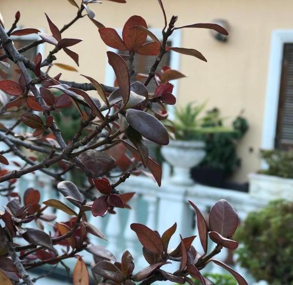 בית מלון כפרי Piemontese