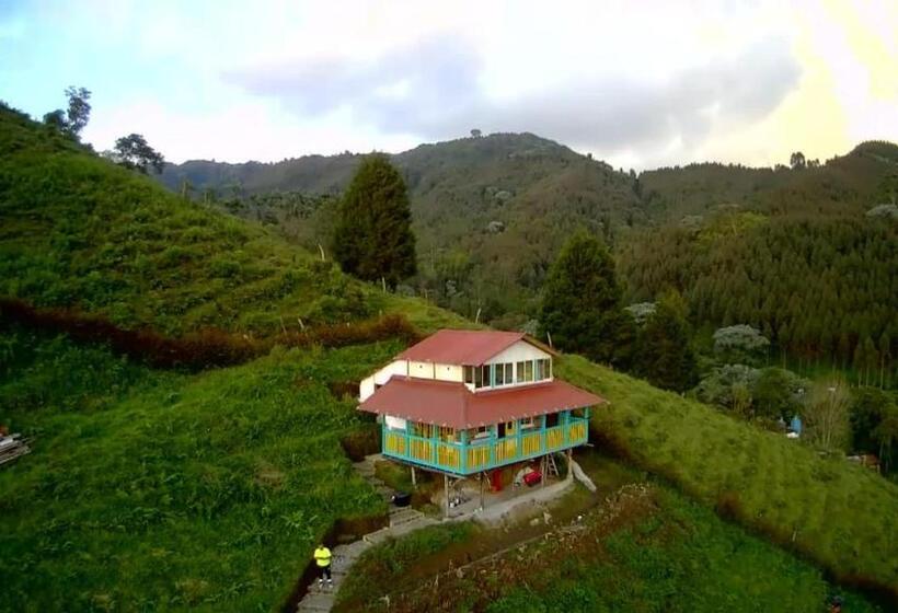 旅馆 Tarragona Hostal