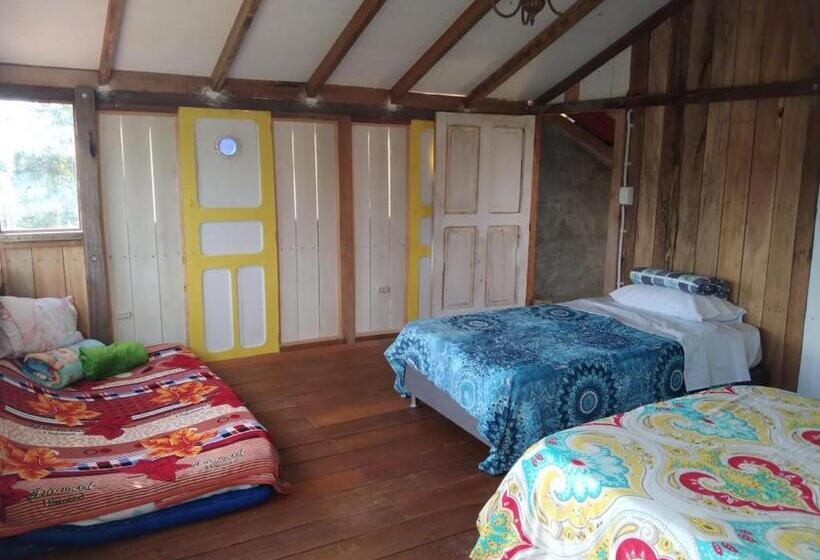 旅馆 Tarragona Hostal