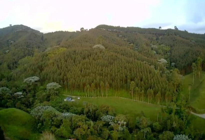 旅馆 Tarragona Hostal