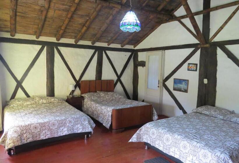 旅馆 Tarragona Hostal