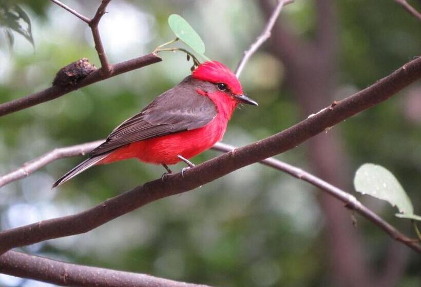 旅馆 Tarragona Hostal