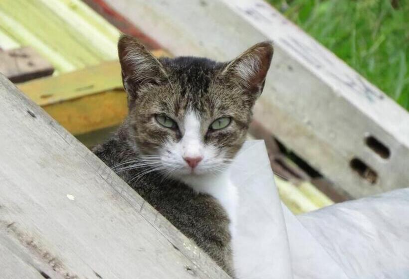 旅馆 Tarragona Hostal