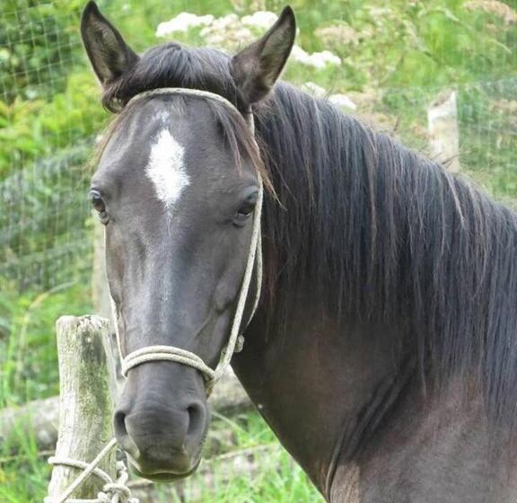 旅馆 Tarragona Hostal