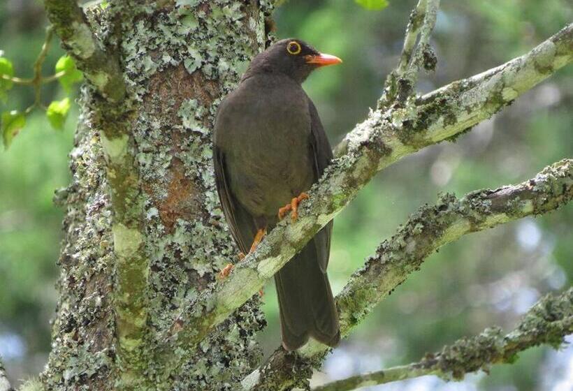 旅馆 Tarragona Hostal