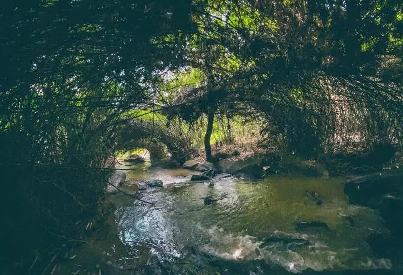 Bamboo Creek Resort