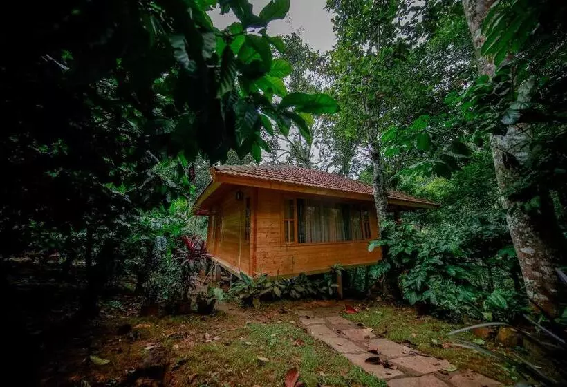 Bamboo Creek Resort