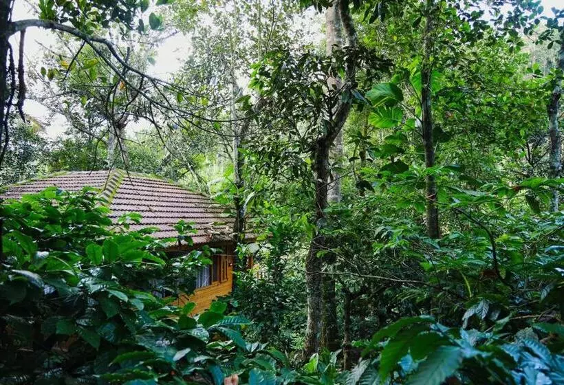 Bamboo Creek Resort