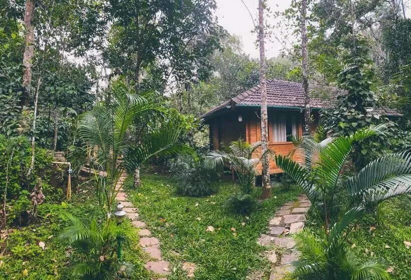 Bamboo Creek Resort
