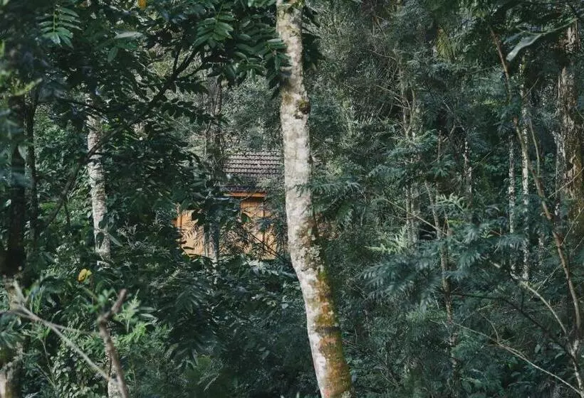 Bamboo Creek Resort