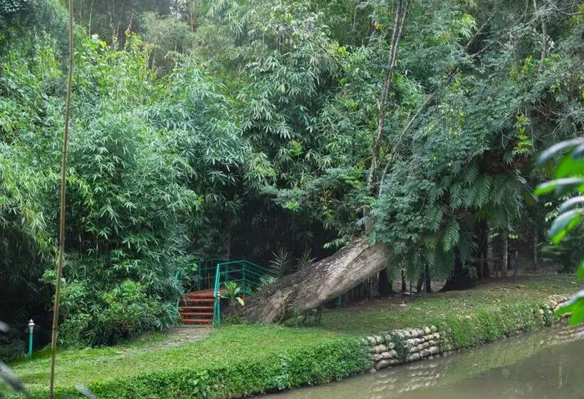 Bamboo Creek Resort