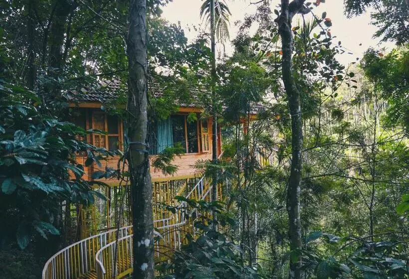 Bamboo Creek Resort