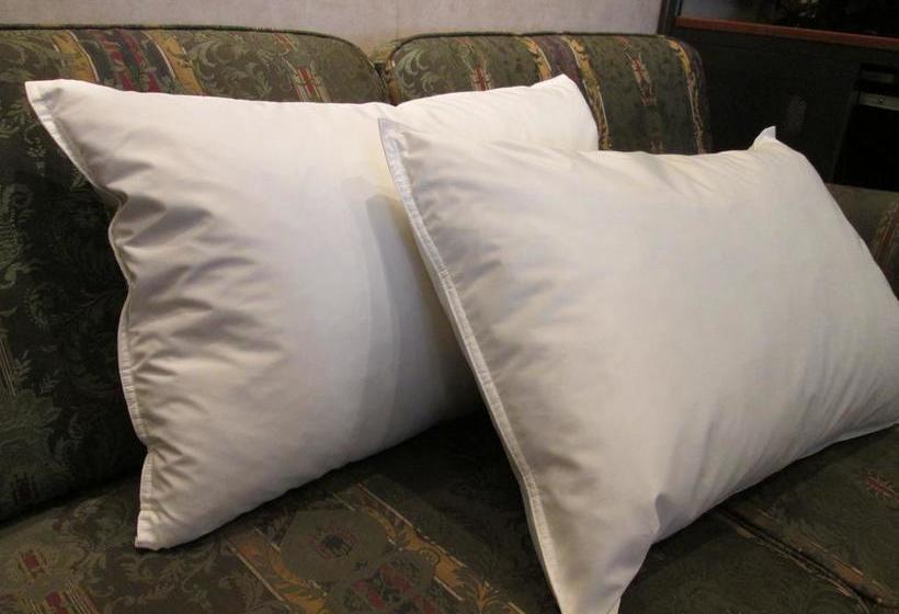 בית מלון כפרי Iwakuni City View