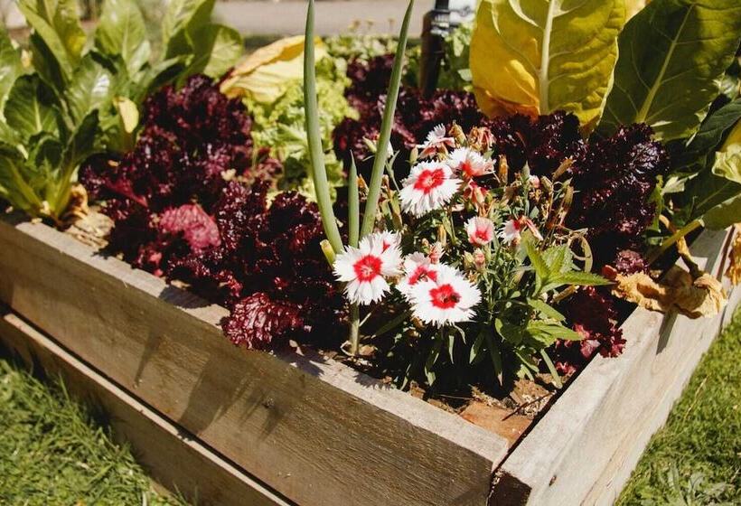 فندق Posta Del Sol Paraná