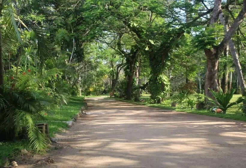 استراحتگاه Blue Bay Village