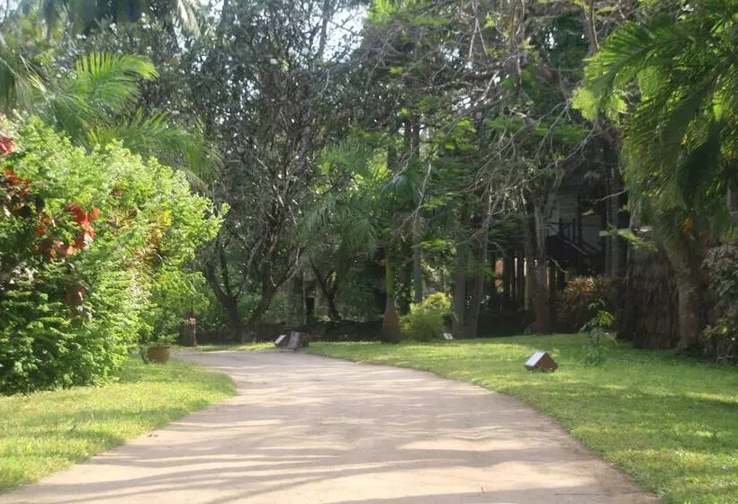 استراحتگاه Blue Bay Village