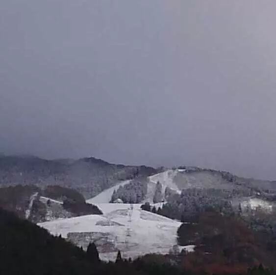 旅館 Nashikisou