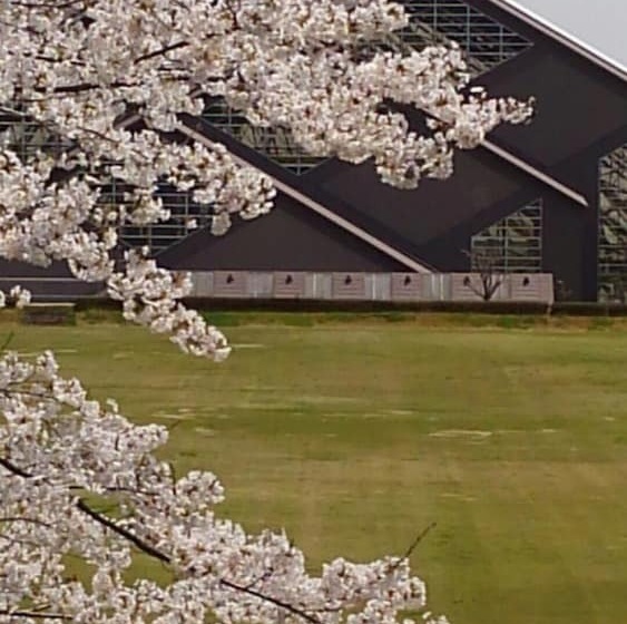 ריוקאן Nashikisou