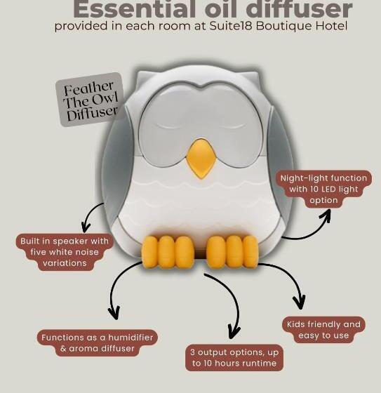 Suite 18 Boutique Hotel   Hostel