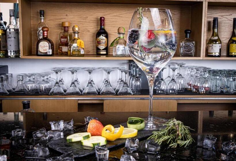 Tryp By Wyndham San Luis Potosi Hotel & Suites