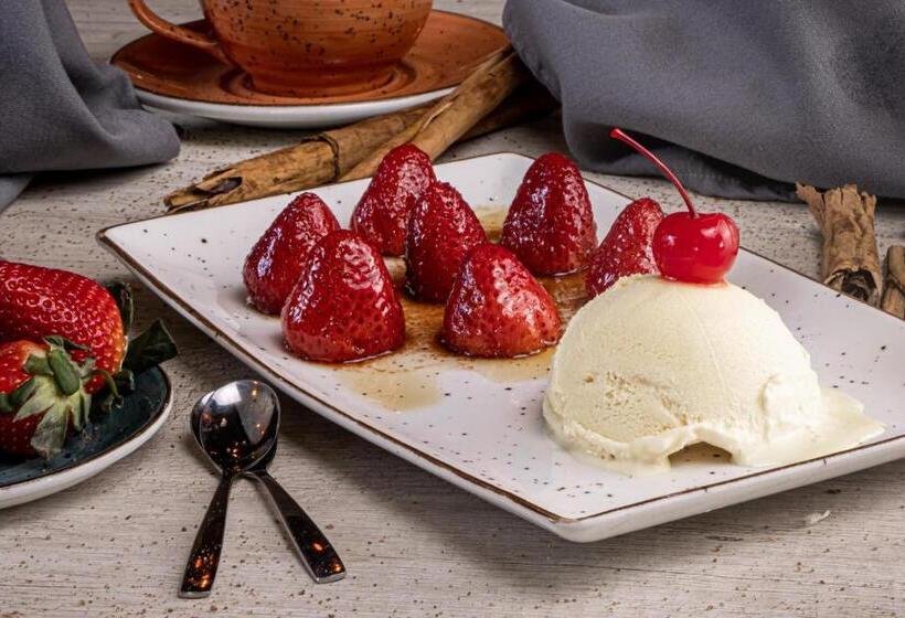 Tryp By Wyndham San Luis Potosi Hotel & Suites