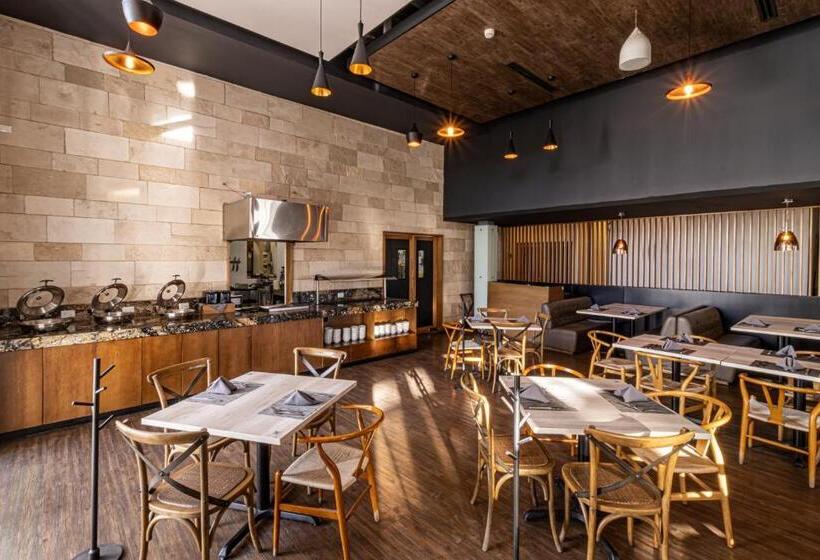 Tryp By Wyndham San Luis Potosi Hotel & Suites