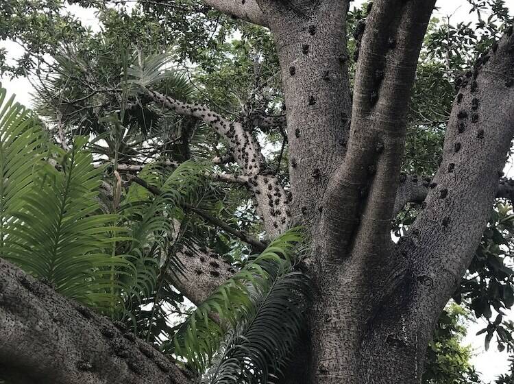 צימר Hamiltons Lodge & Restaurant