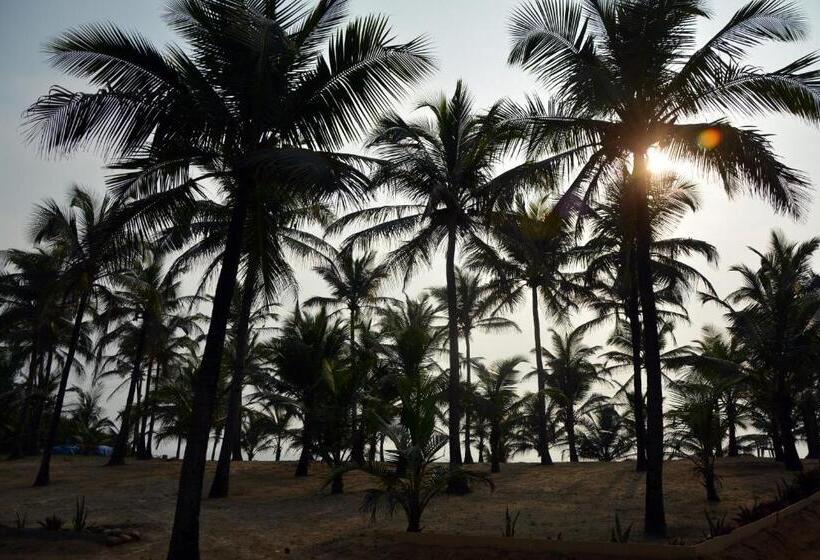 C Roque Beach Resort