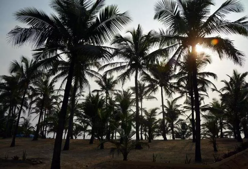 C Roque Beach Resort